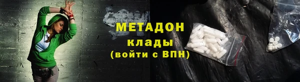 гашик Алексин