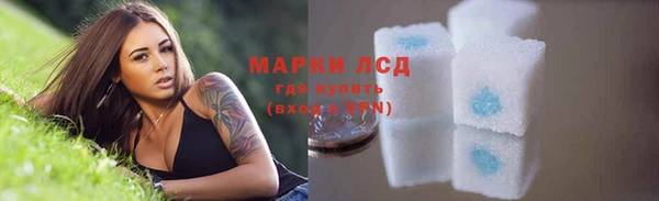стаф Алзамай