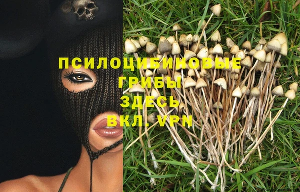 кокс Алексеевка