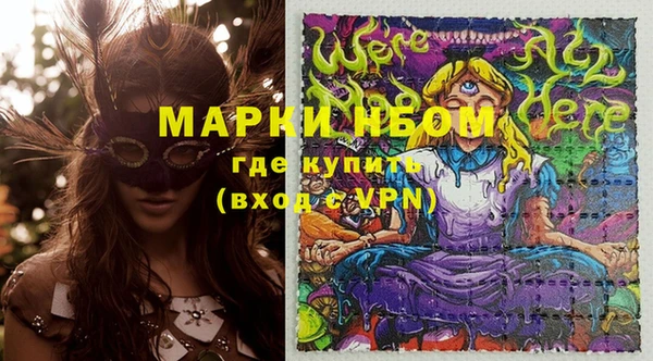 гашик Алексин