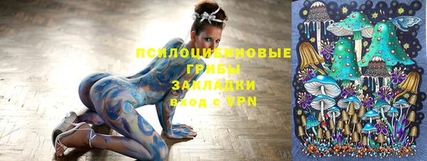 стаф Алзамай