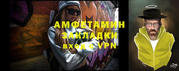 стаф Алзамай